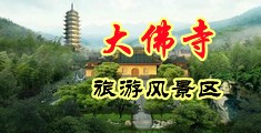 鸡巴插入小骚逼去操的视频中国浙江-新昌大佛寺旅游风景区
